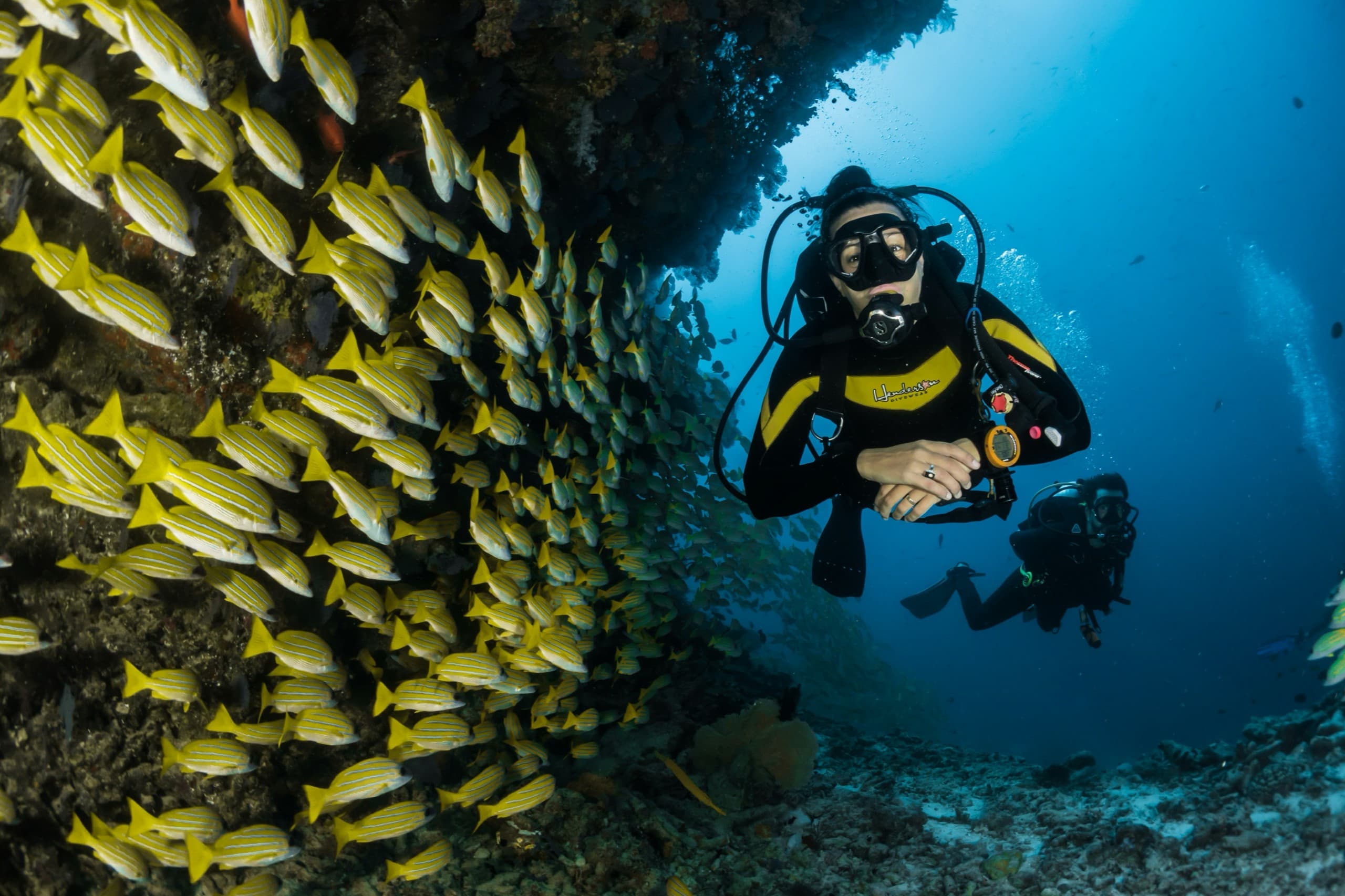 SCUBA DIVING aboard Maavahi Maldives Liveaboard
