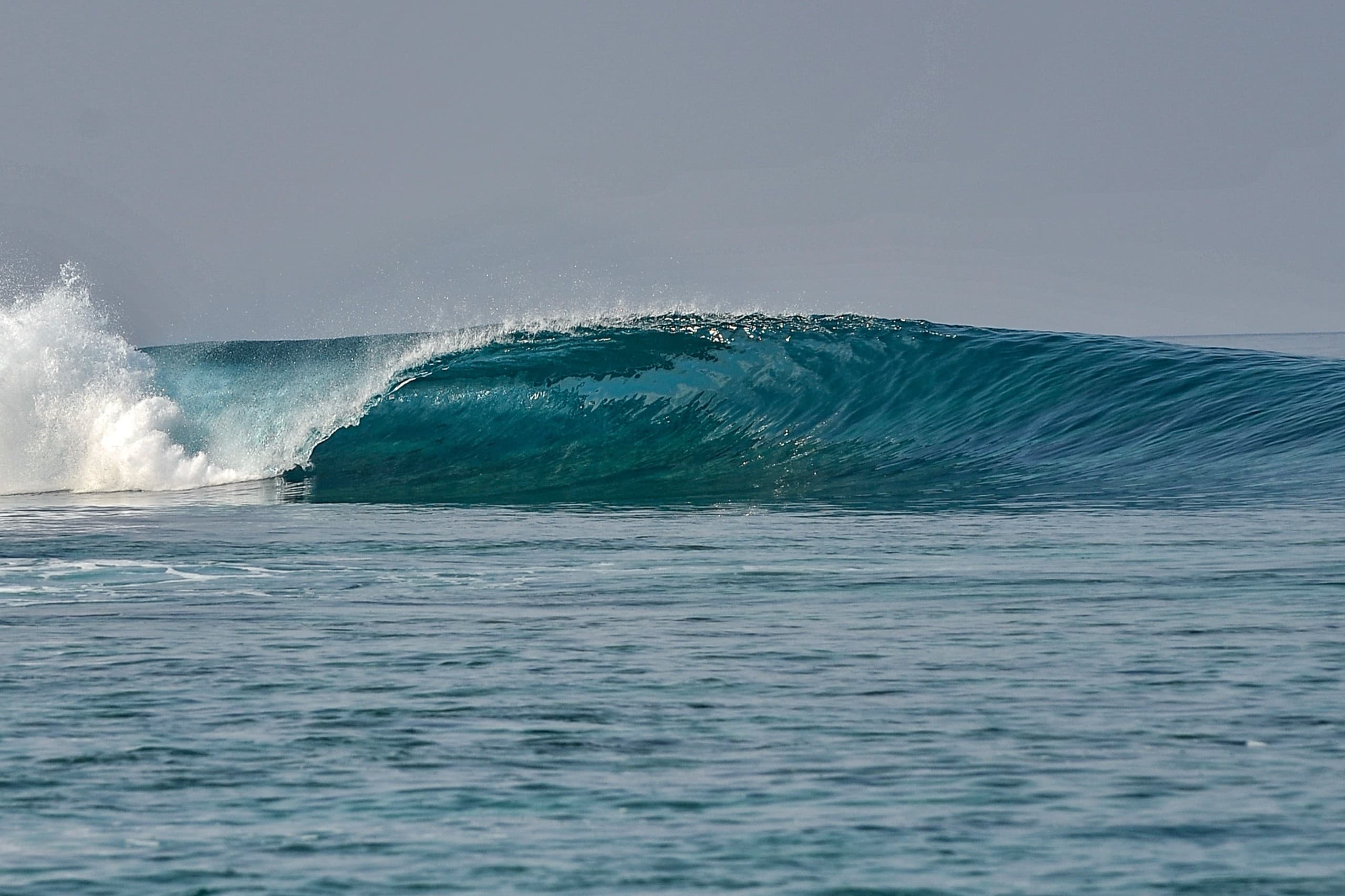 SURFING aboard Maavahi Maldives Liveaboard