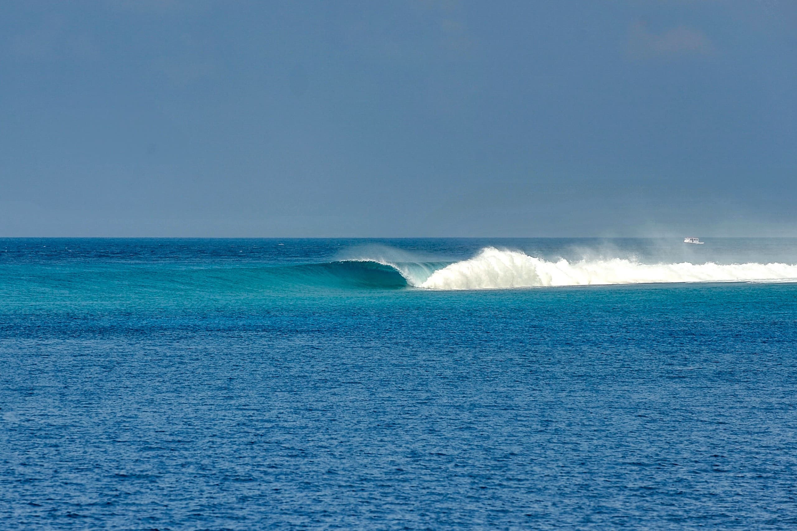 Perfect empty right-hand wave peeling over a shallow reef in the Maldives under tropical sky