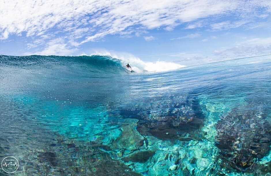 Surfer riding a clean reef break in the Maldives with crystal clear shallow water and visible coral reef below
