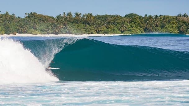 Perfect empty barrel wave breaking over a tropical reef in the Maldives with crystal clear water and island in the background