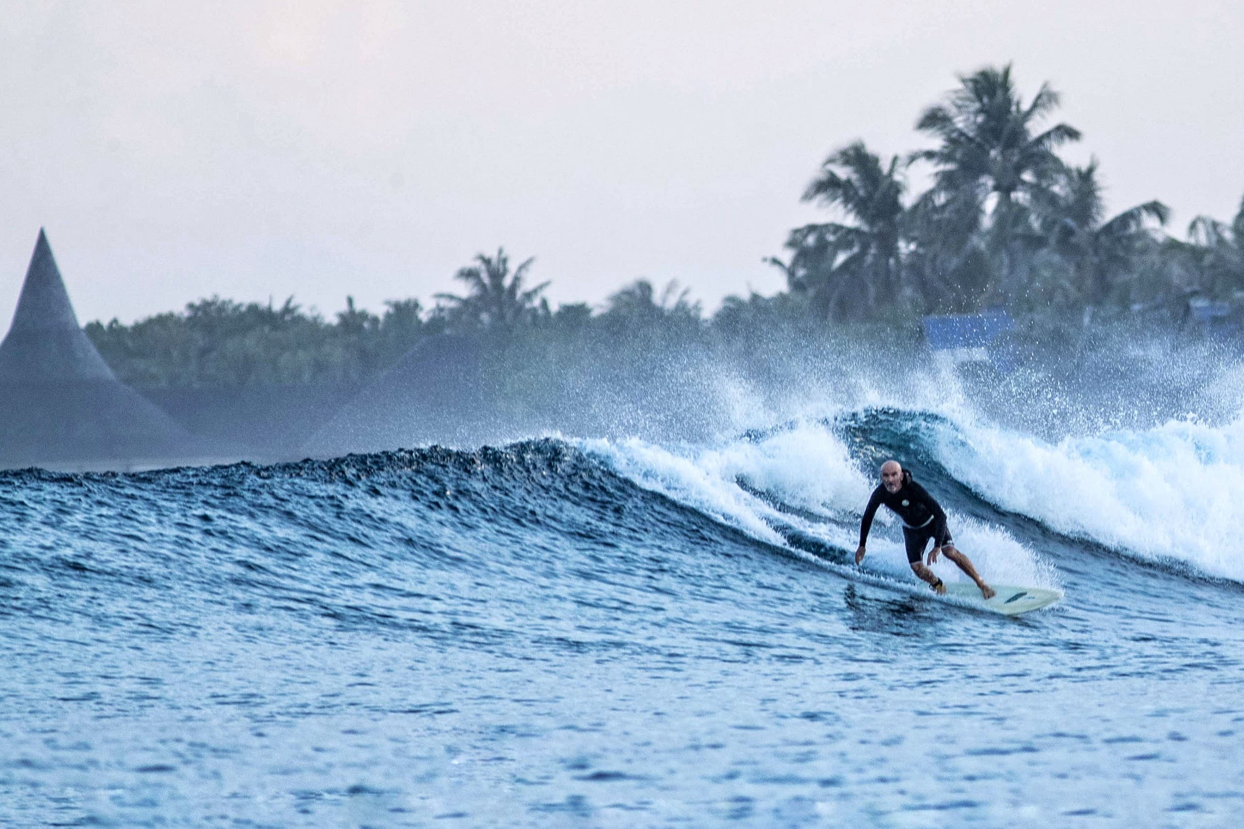 Tropical reef surf scene in the Maldives with clean wave and palm-covered island