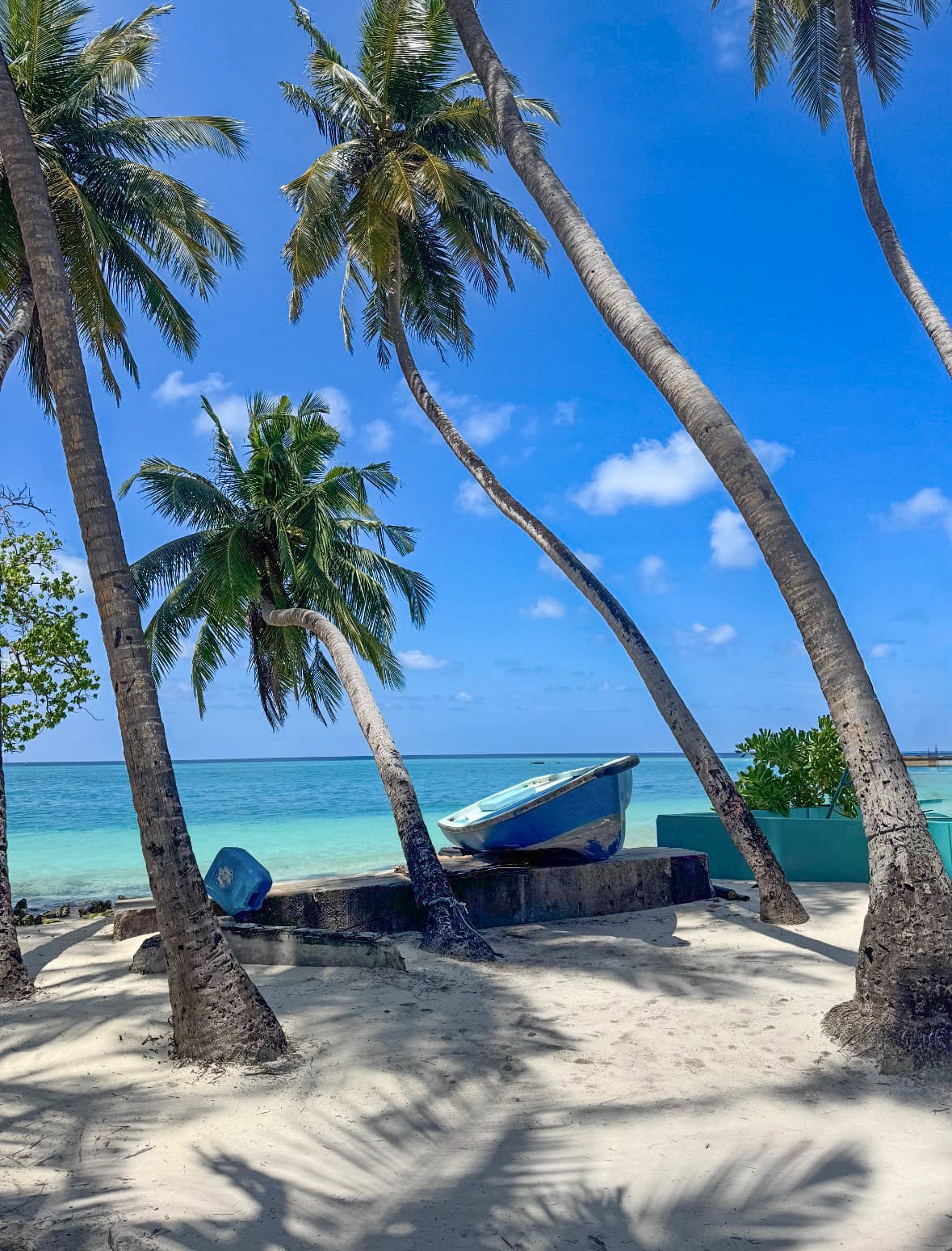 Tropical island beach with palm trees and turquoise lagoon in Maldives peaceful travel experience