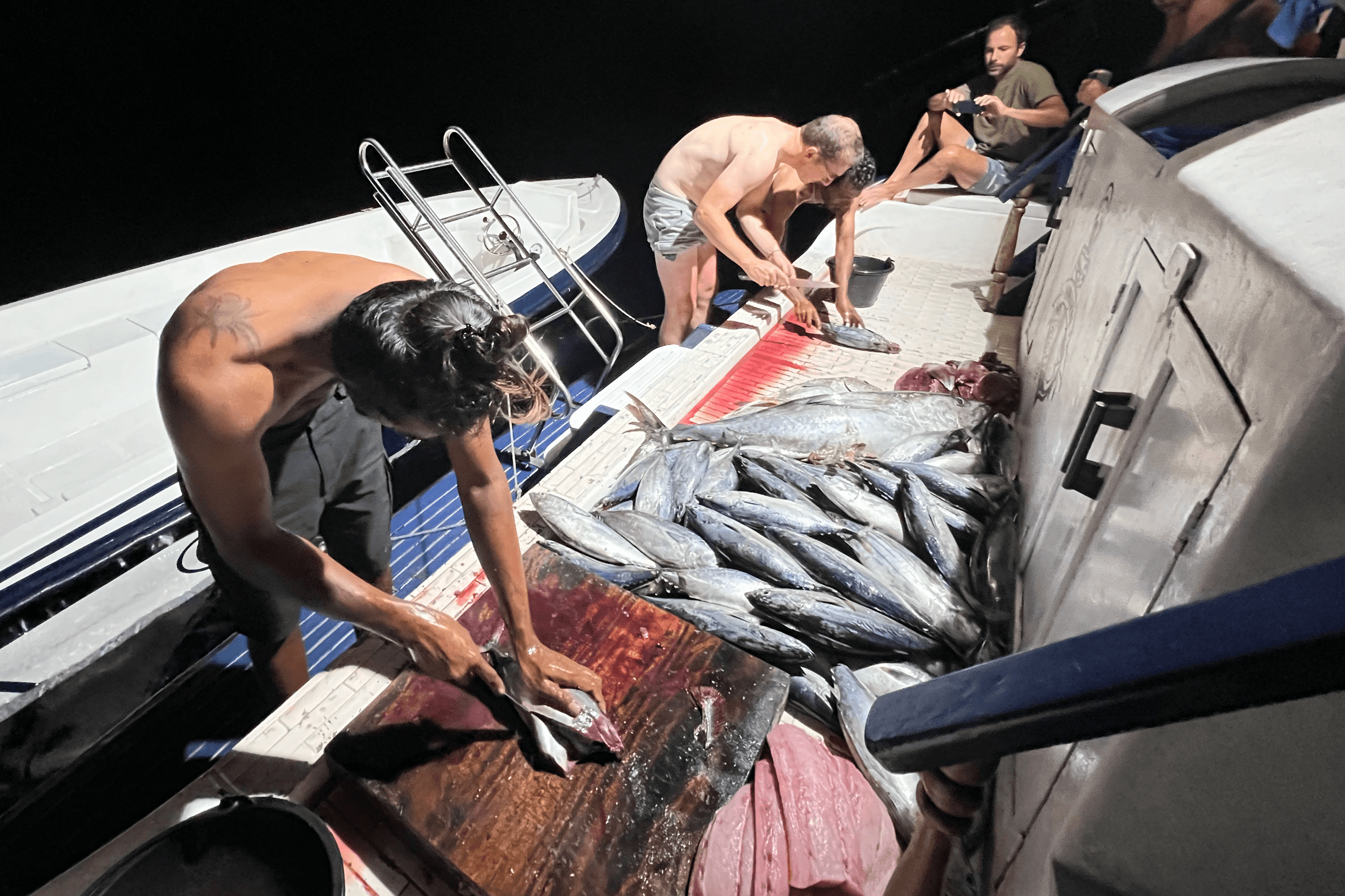Crew preparing freshly caught fish on deck at night during Maavahi Maldives big game fishing trip