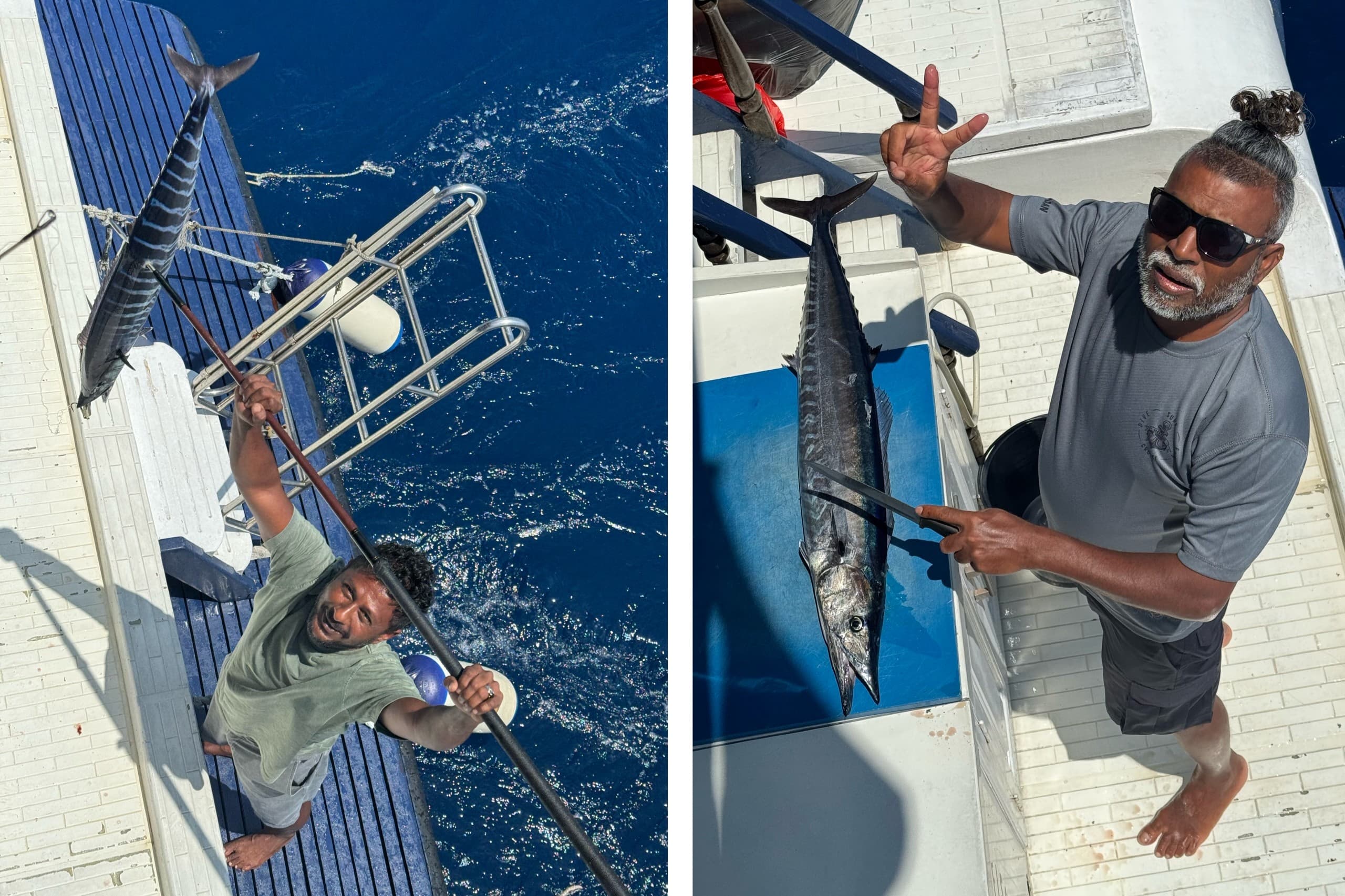 Fresh wahoo catch lifted on board and prepared on deck during Maavahi Maldives big game fishing trip