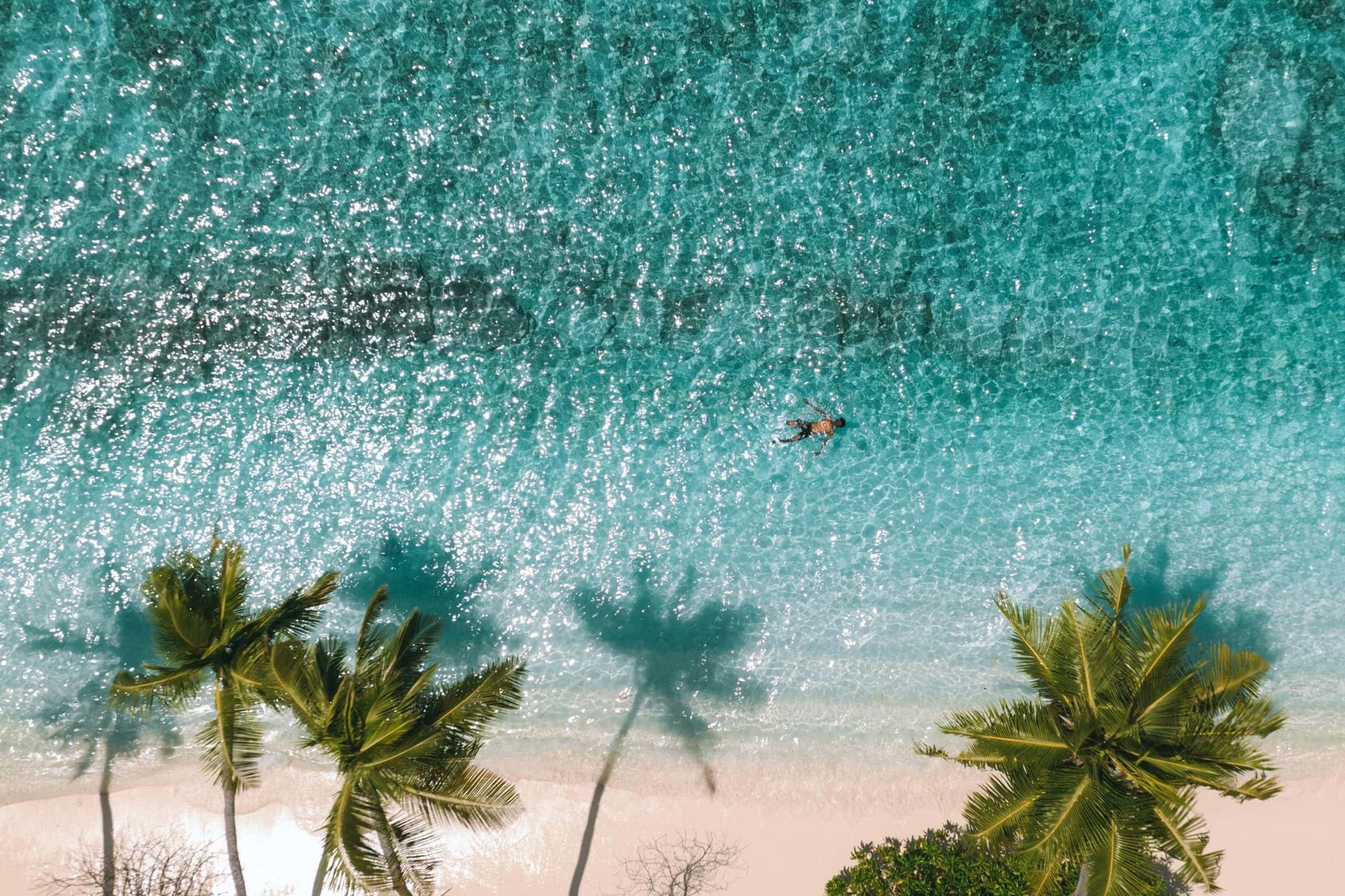 Aerial view of shorebreak and palm trees