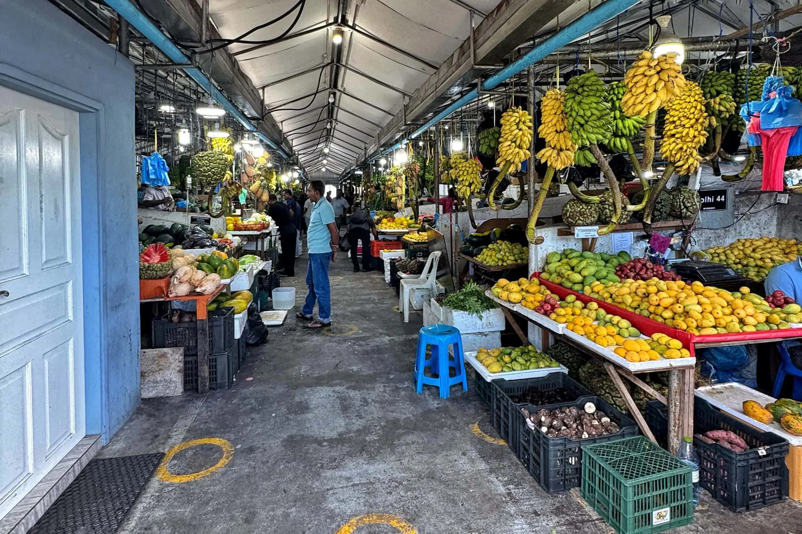 Local market experience in Male, Maldives